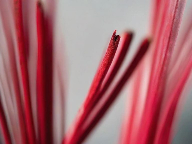 The Healing Benefits of Dragon’s Blood Incense