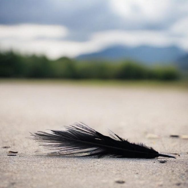 Black Feathers And What They Symbolize Spiritually