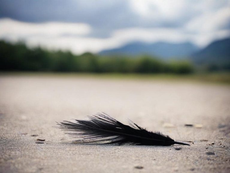 Black Feathers And What They Symbolize Spiritually